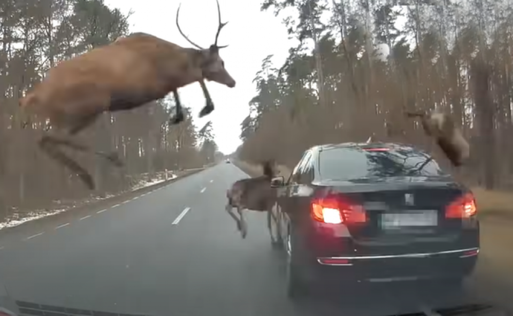 FOTO/VIDEO: Elan spulberat de un Opel zboară și aterizează pe plafonul unui BMM X3. Șoferul SUV-ului a murit pe loc